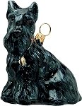 Scottish Terrier
